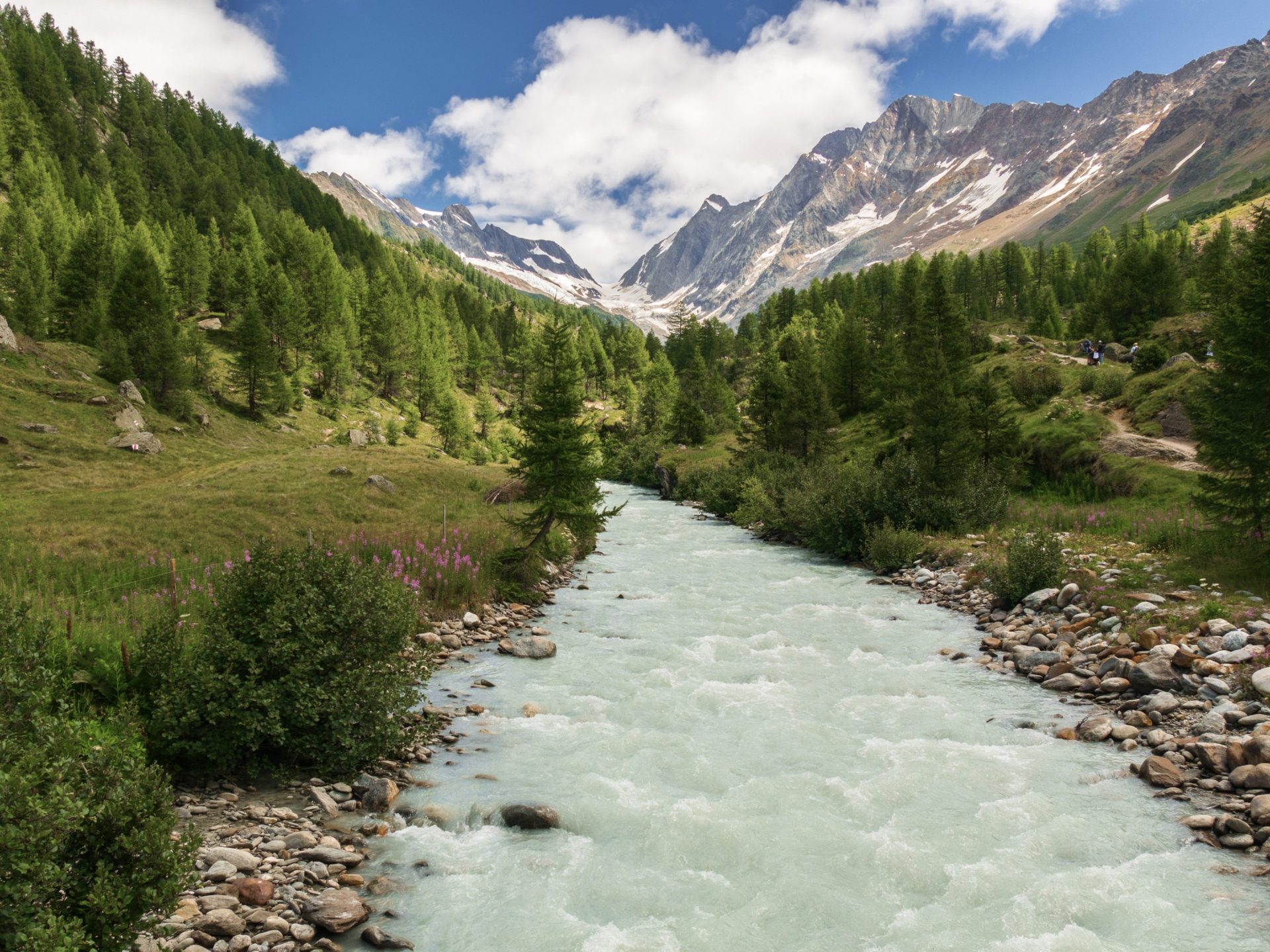 Der Wildfluss Vjosa in Albanien