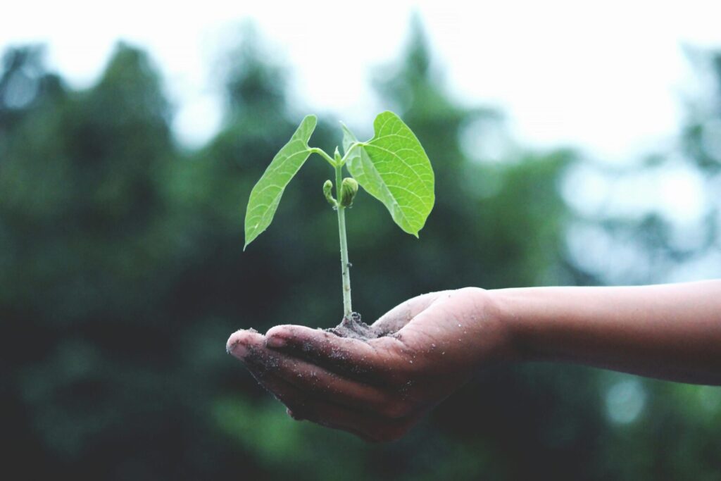 Klima Campus Blog: OER Klimaschutz