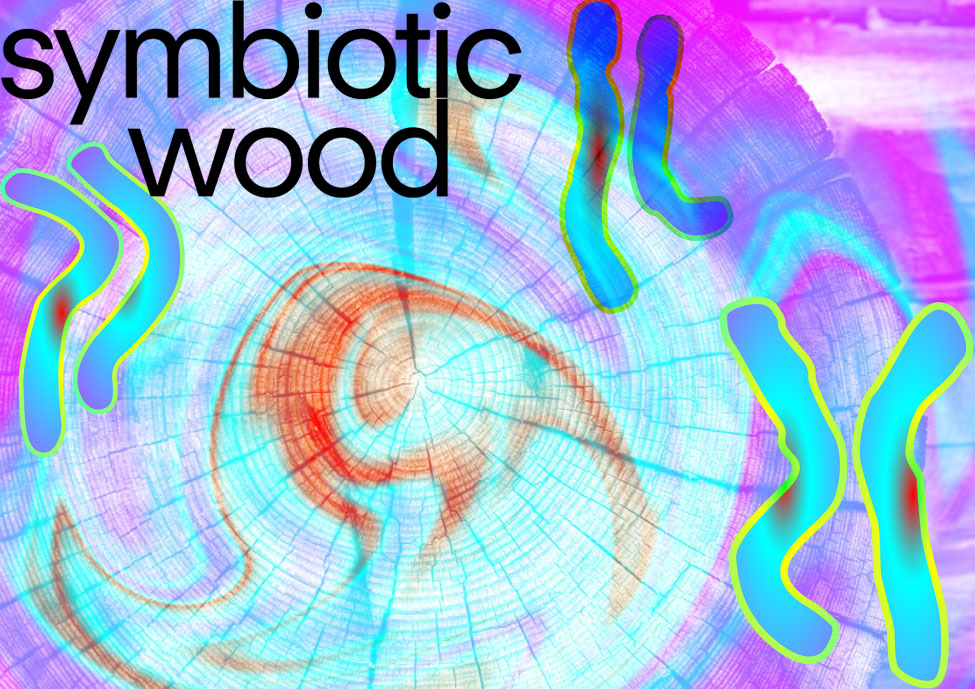 Klima Campus Act Now Events wood_kachel_bild