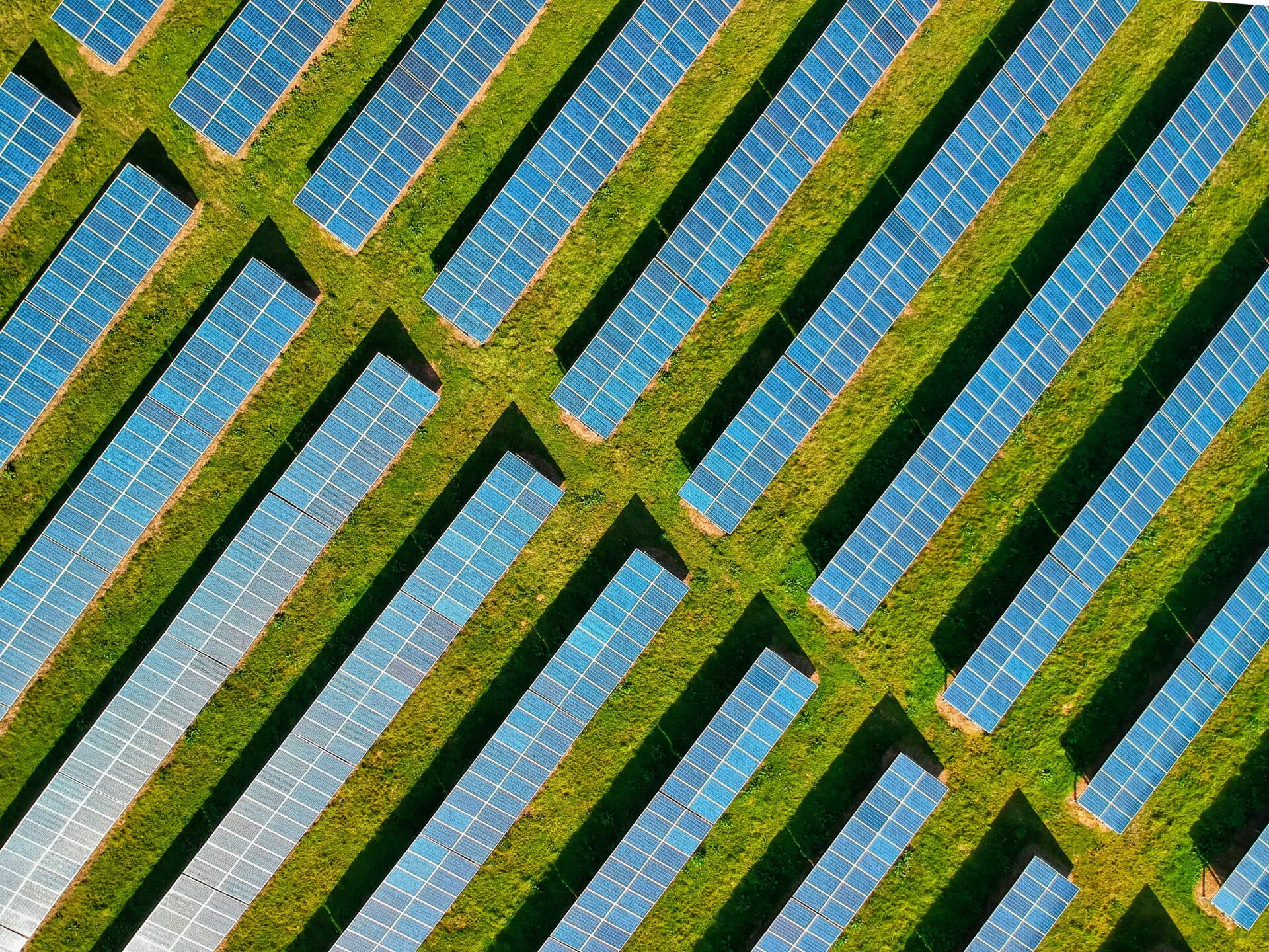 Klima Campus Good News: Solarparks sorgen für mehr Biodiversitaet