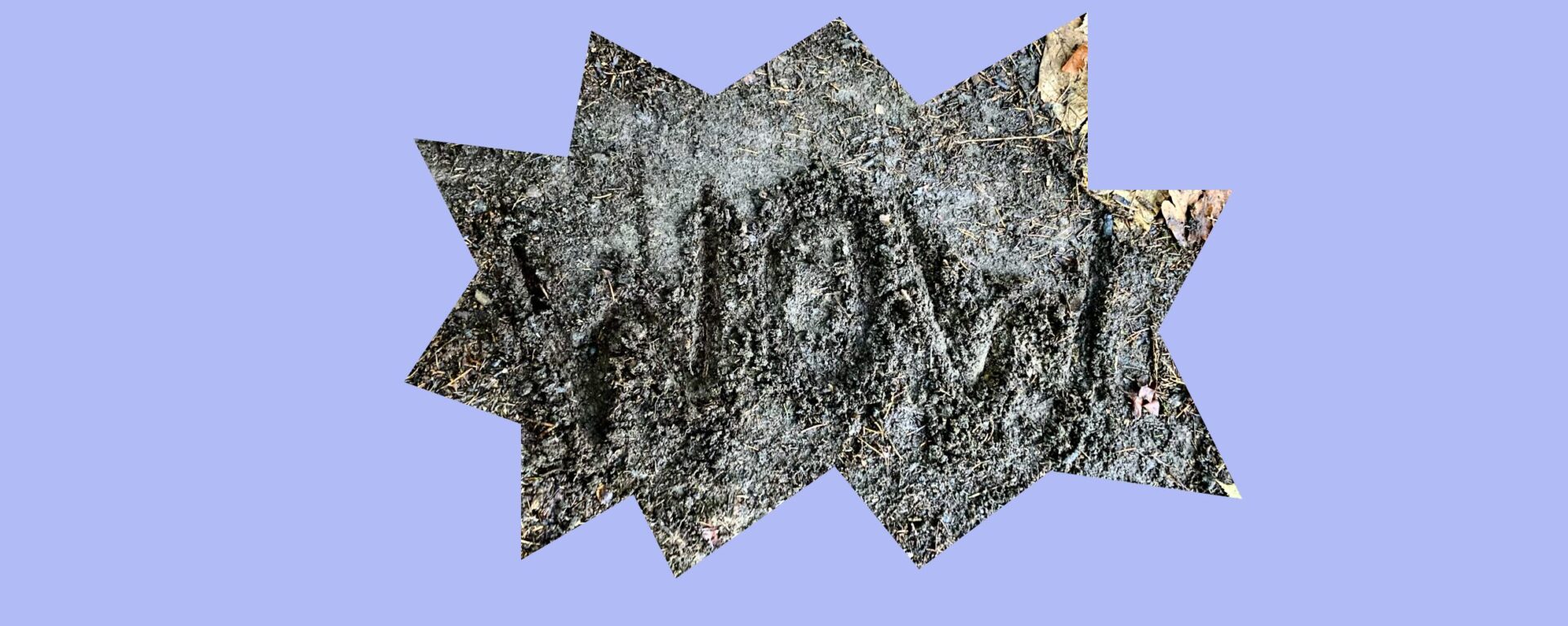Das Wort "Wow" in den Erboden geritzt.