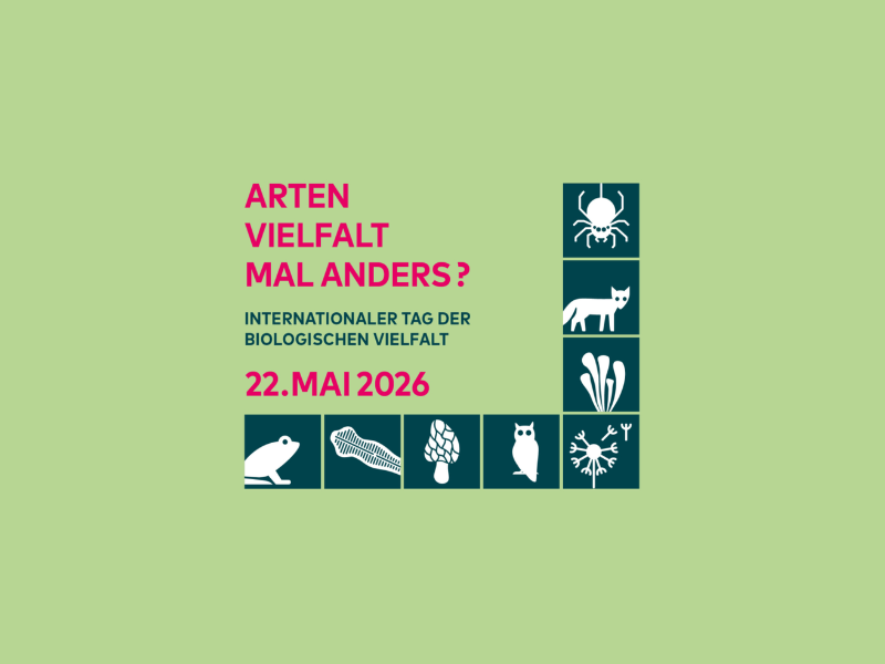 Logos für Pflanzen und Tiere in Quadraten. Dazu der Text "Artenvielfalt mal Anders?"