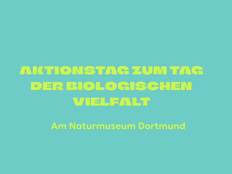 Schrift auf farbiger Fläche: Aktionstag zum Tag der Artenvielfalt in Dortmund.