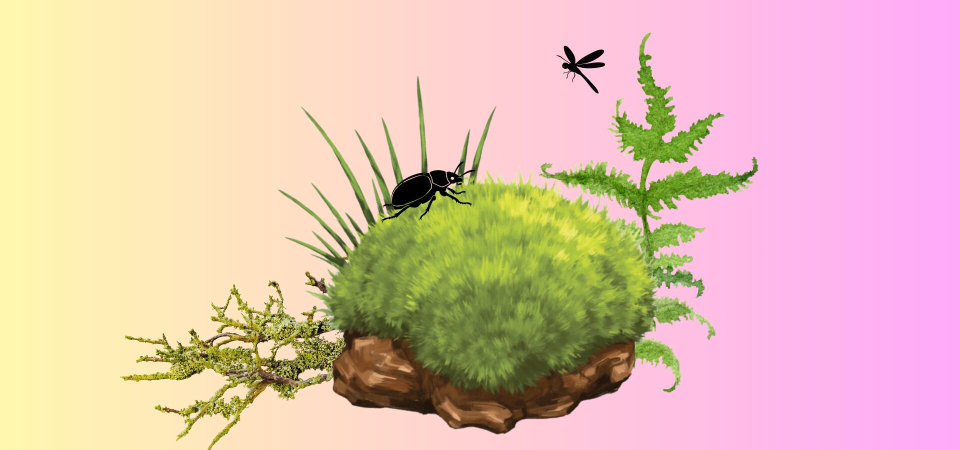 Eine Collage aus Moos, Farn und Gräsern mit Libelle und Käfer.